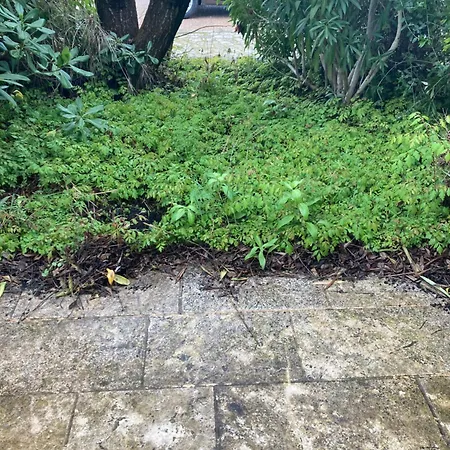 Laurent De La Cabrerisse Riviere Proche Lagrasse Ferienhaus Saint-Laurent-de-la-Cabrerisse