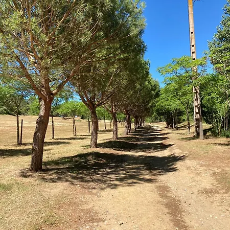 Laurent De La Cabrerisse Riviere Proche Lagrasse